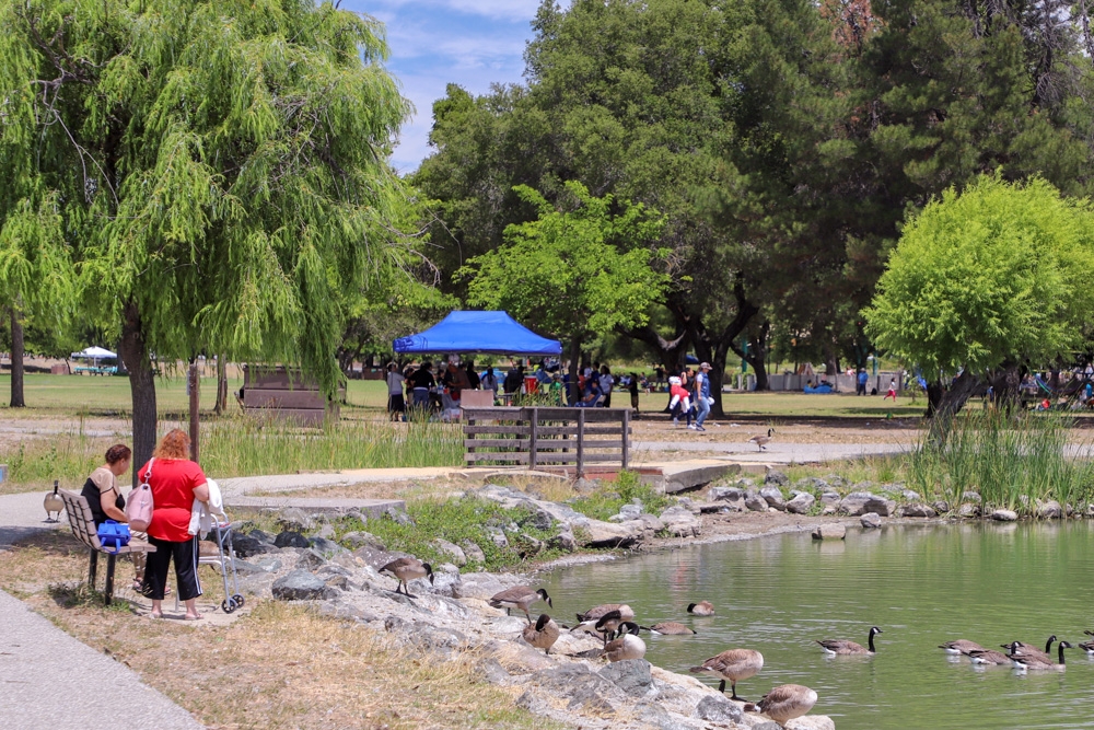 Hellyer Park - A People's Guide