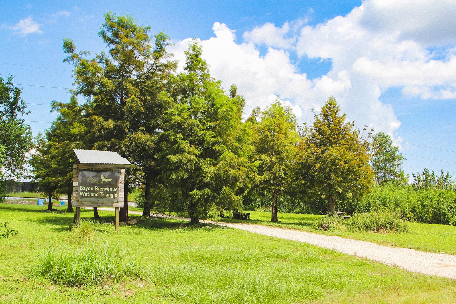 Bayou Bienvenue Wetland Triangle A Peoples Guide